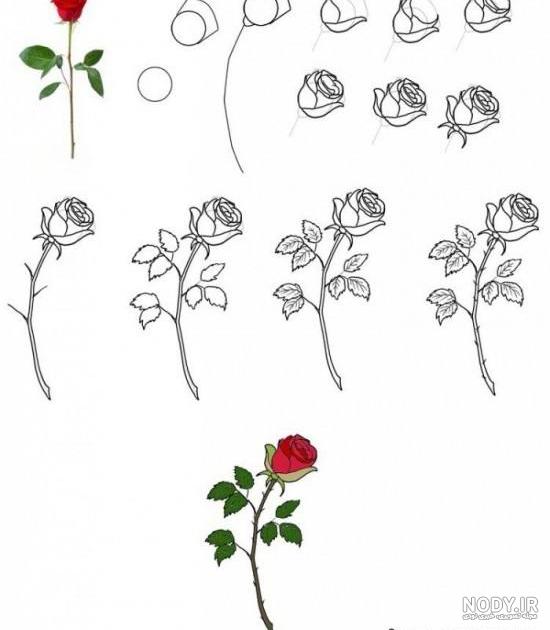 نقاشی غنچه گل سرخ
