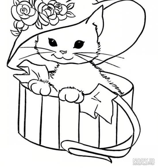 نقاشی گربه زیبا و ملوس نقاشی گربه زیبا و ملوس