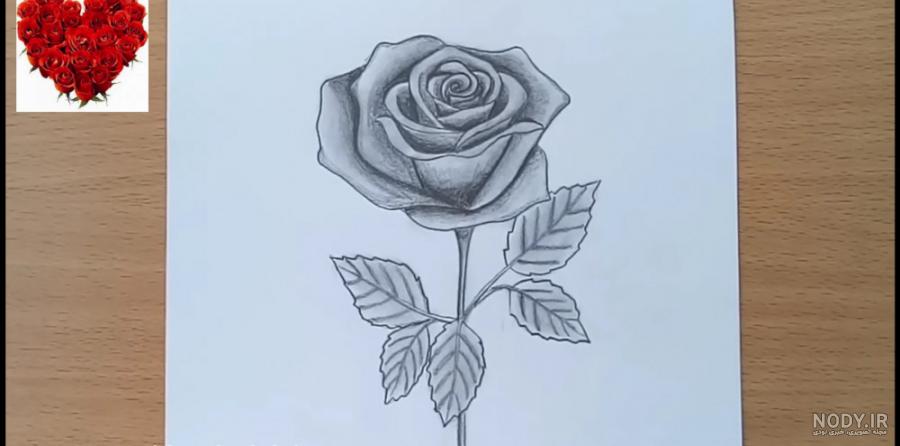 نقاشی گل خیلی زیبا