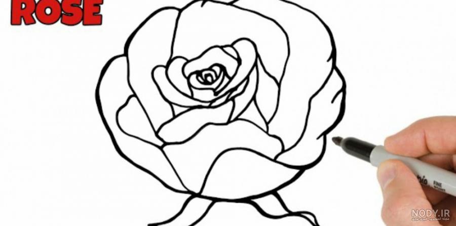 نقاشی گل رز قرمز