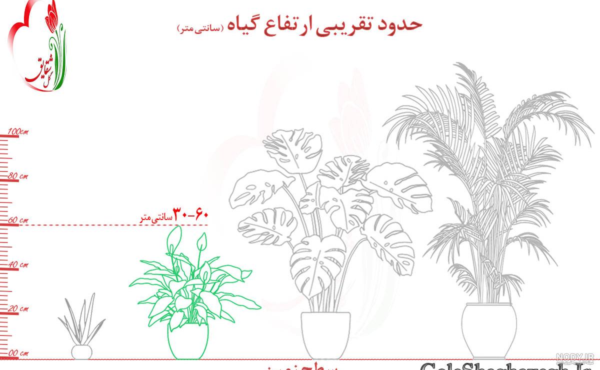 نقاشی گل قاشقی نقاشی گل قاشقی