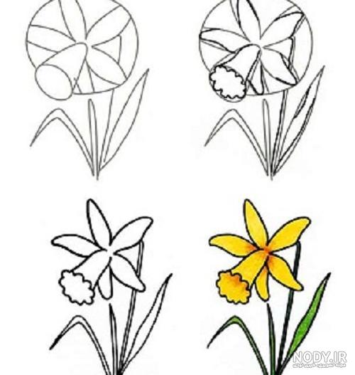 نقاشی گل محمدی ساده