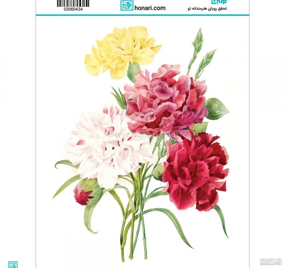 نقاشی گل میخک مینیاتوری نقاشی گل میخک مینیاتوری