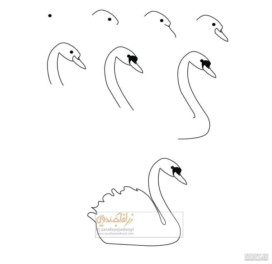 طراحی قو با مداد سیاه