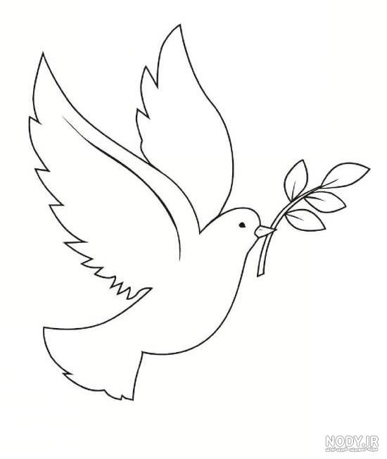 طرح نقاشی ساده کبوتر