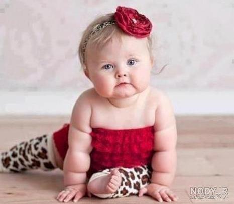 عکس نی نی های گوگولی
