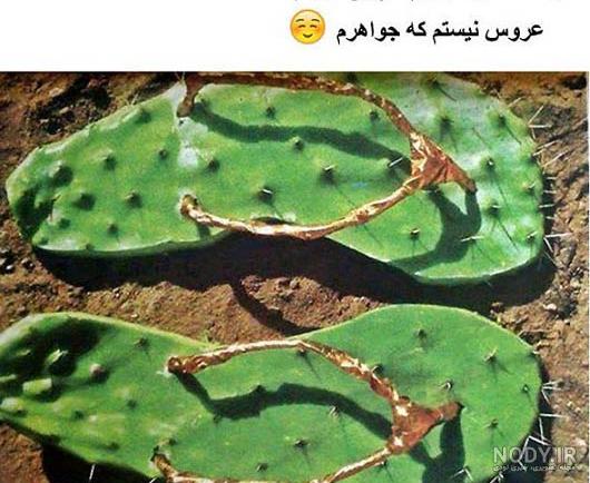 قیافه شوهر آینده بر حسب ماه تولد