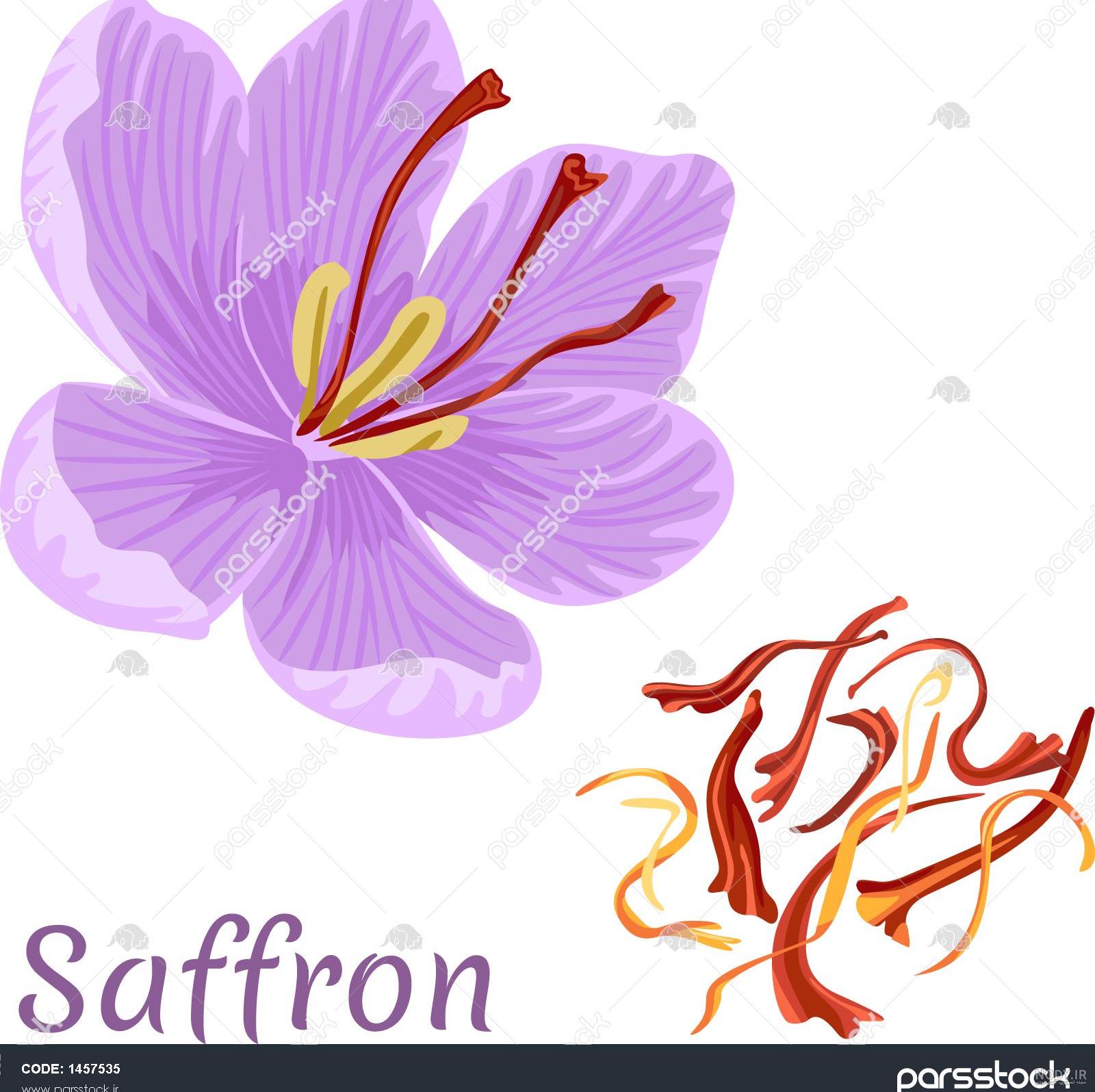 نقاشی زعفران کودکانه نقاشی زعفران کودکانه
