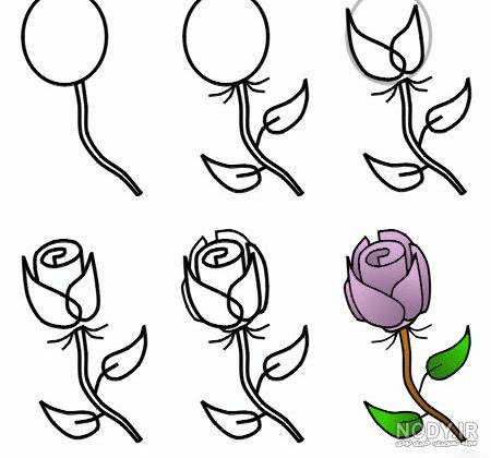 نقاشی غنچه گل رز نقاشی غنچه گل رز