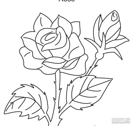 نقاشی گل زیبا و ساده نقاشی گل زیبا و ساده