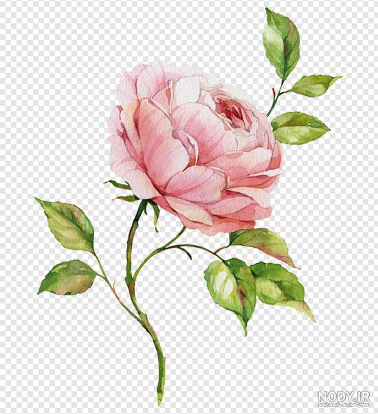 نقاشی گل سخت نقاشی گل سخت