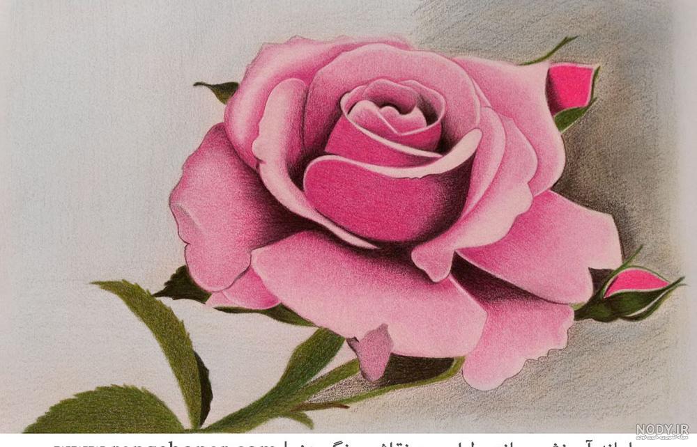 نقاشی گل محمدی ساده برای کودکان نقاشی گل محمدی ساده برای کودکان