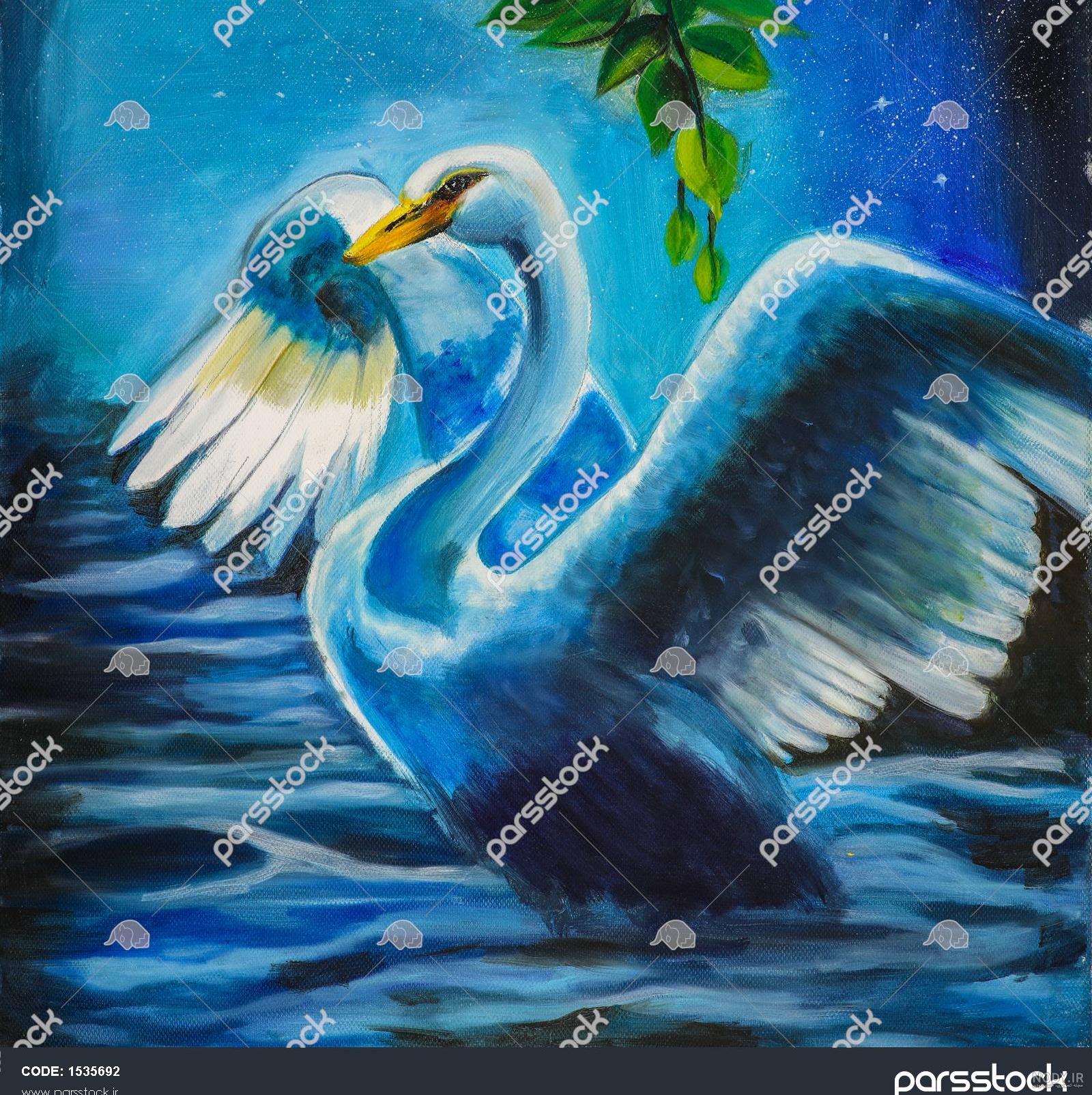رنگ آمیزی نقاشی قو