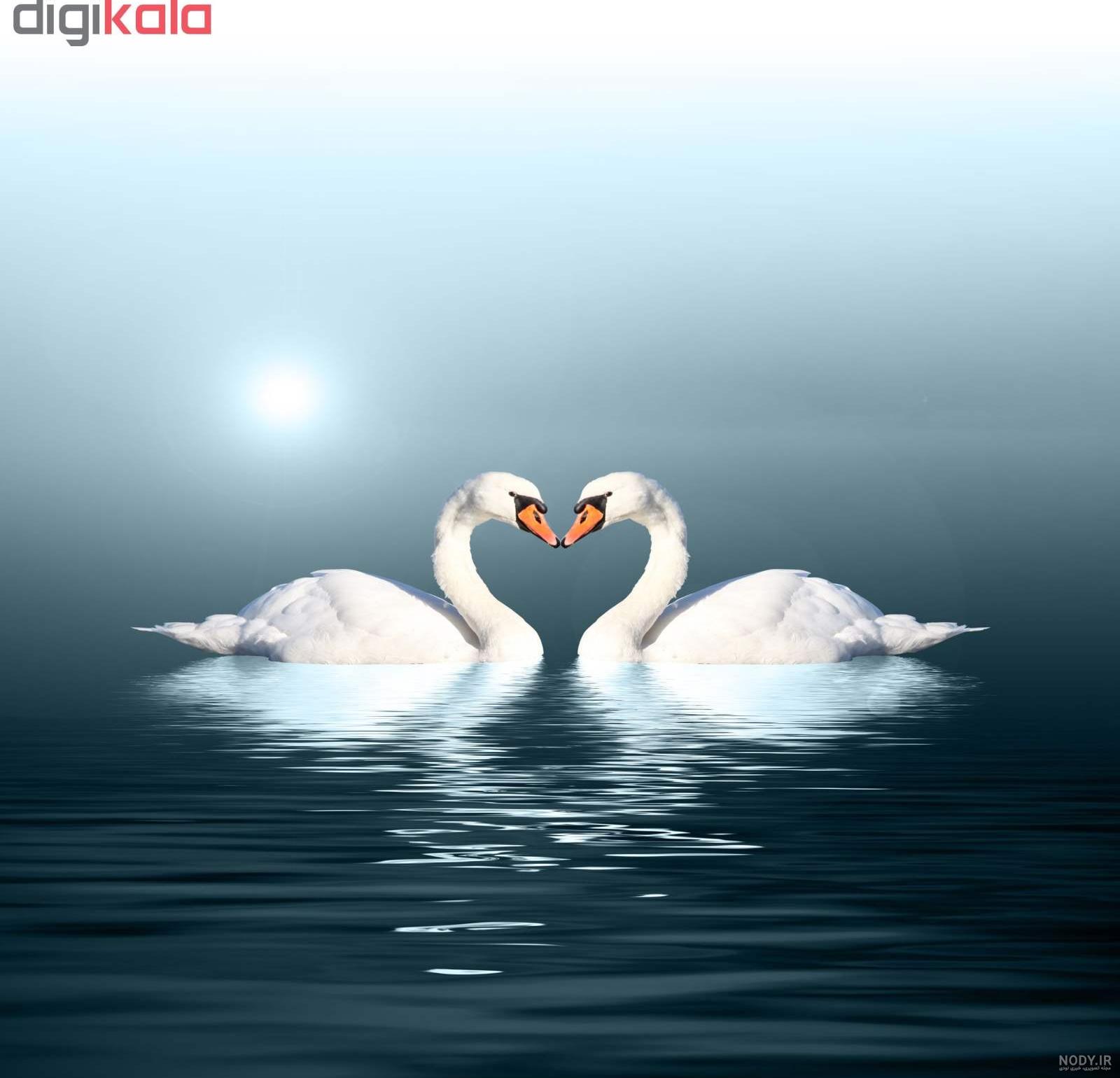 طرح نقاشی چراغ قوه