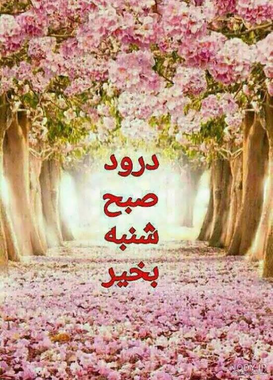 عکس صبح شنبه بخیر عشقم