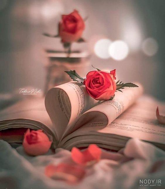 عکس کودک گل فروش