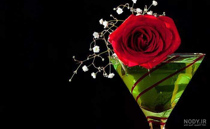 عکسهای بسیار کمیاب عکسهای بسیار کمیاب