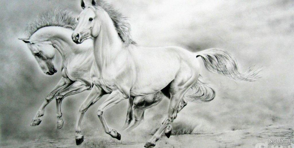 نقاشی اسب سیاه