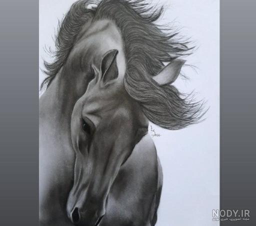 نقاشی سیاه قلم اسب ساده