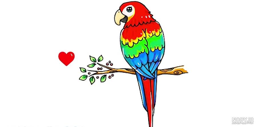 نقاشی طوطی رنگی
