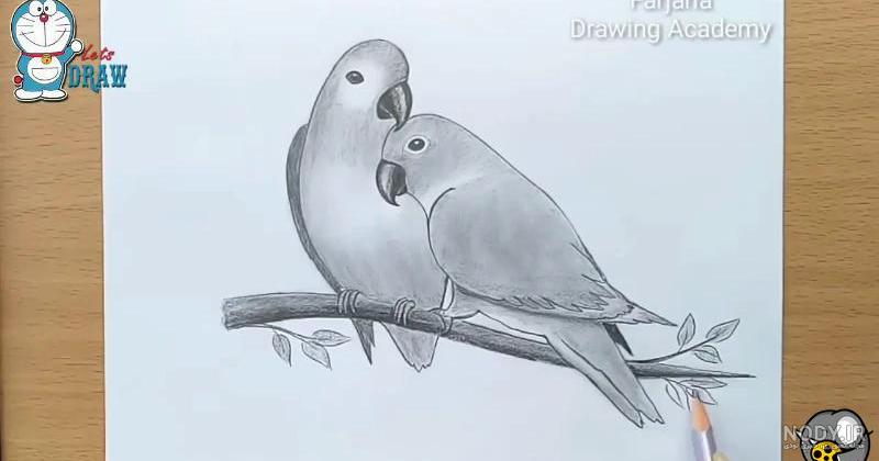 نقاشی طوطی زیبا