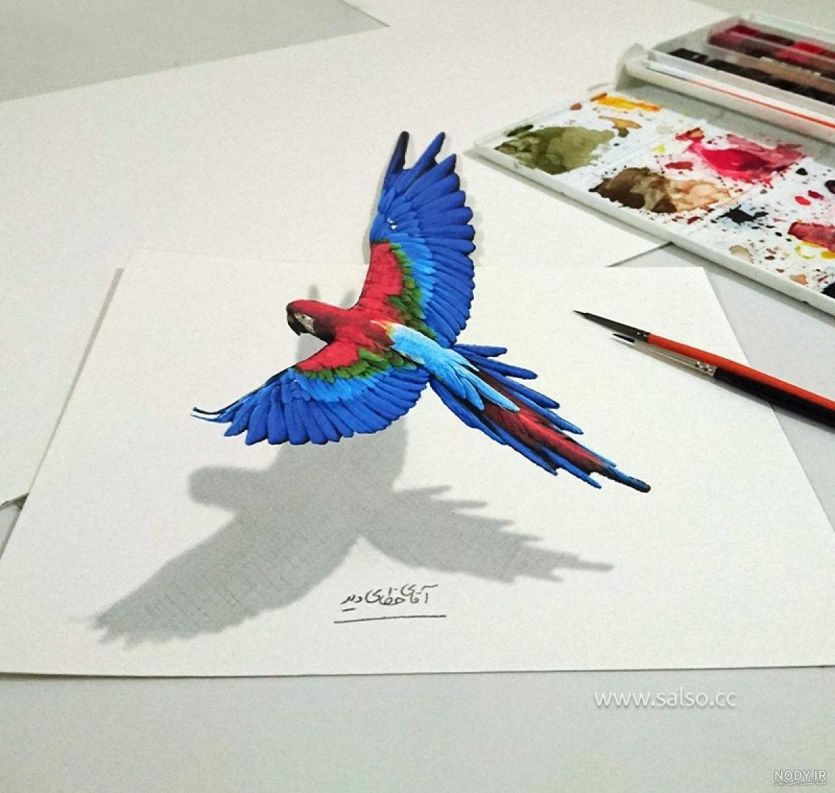 نقاشی طوطی ساده و زیبا