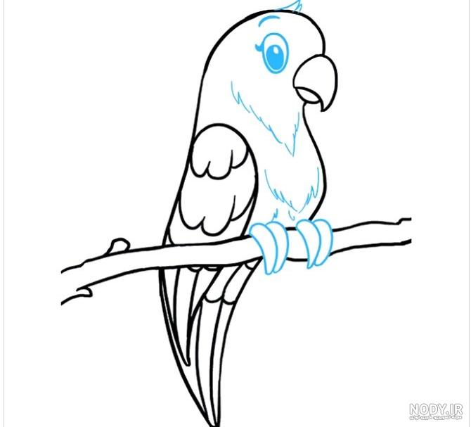 نقاشی طوطی سبز