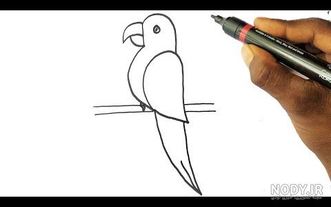 نقاشی طوطی واقعی
