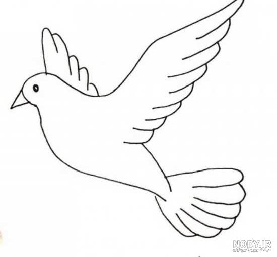 نقاشی پرنده