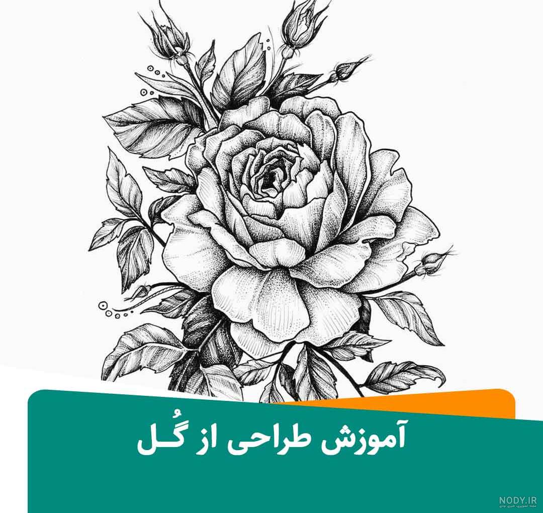 نقاشی گل زیبا نقاشی گل زیبا