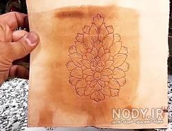 گل شاه عباسی به انگلیسی گل شاه عباسی به انگلیسی