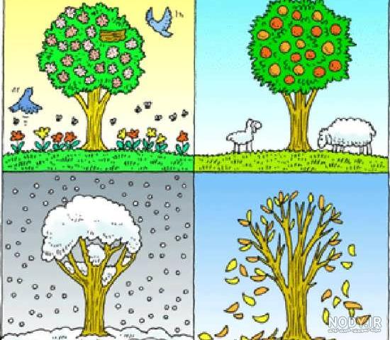 نقاشی چهار فصل دریک درخت