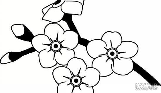نقاشی گل ساده