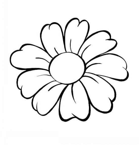 نقاشی گل محمدی