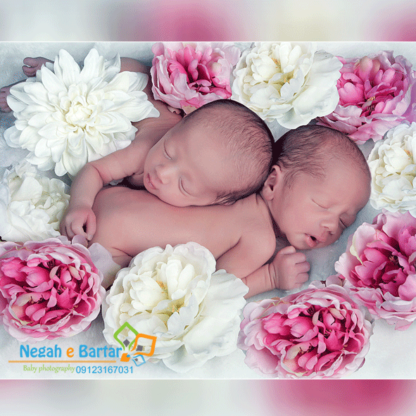 عکس آتلیه ای گلزار عکس آتلیه ای گلزار