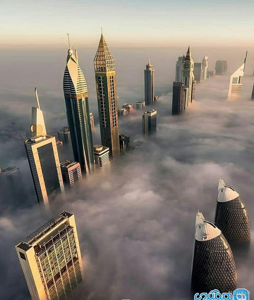 عکس شهر نخل دبی
