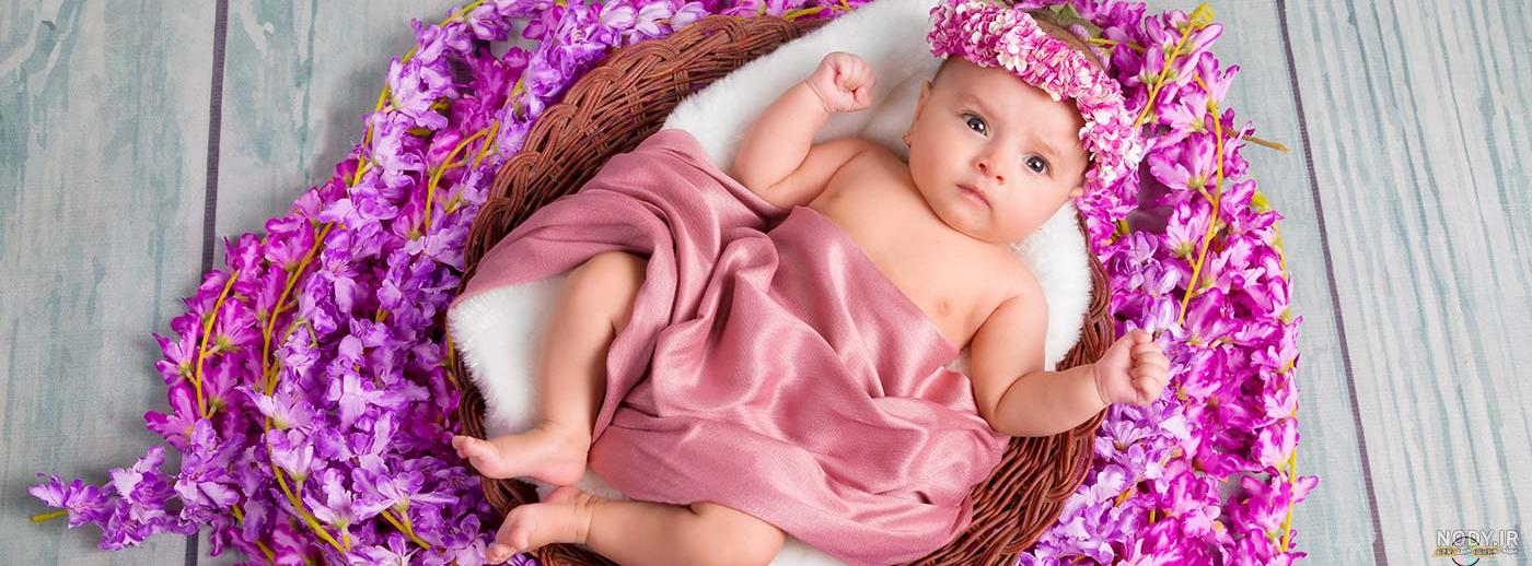 نت برگ عکاسی شهرری