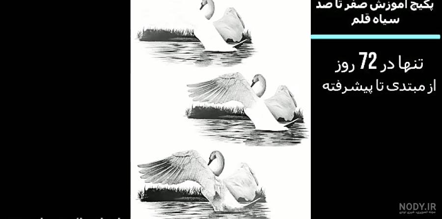 نقاشی سیاه قلم قوچ