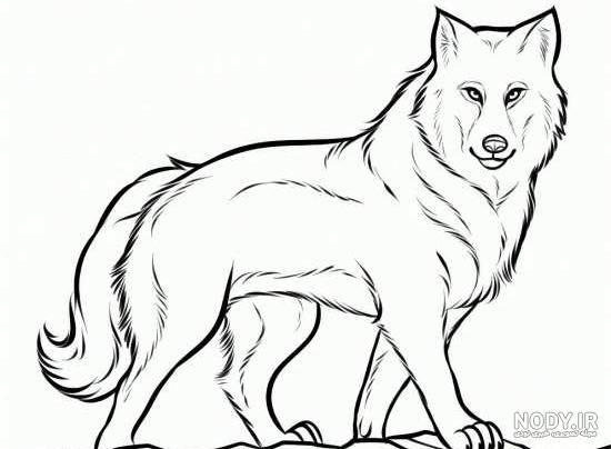 نقاشی گرگ با دست