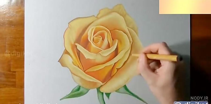 نقاشی گل زرد ساده نقاشی گل زرد ساده