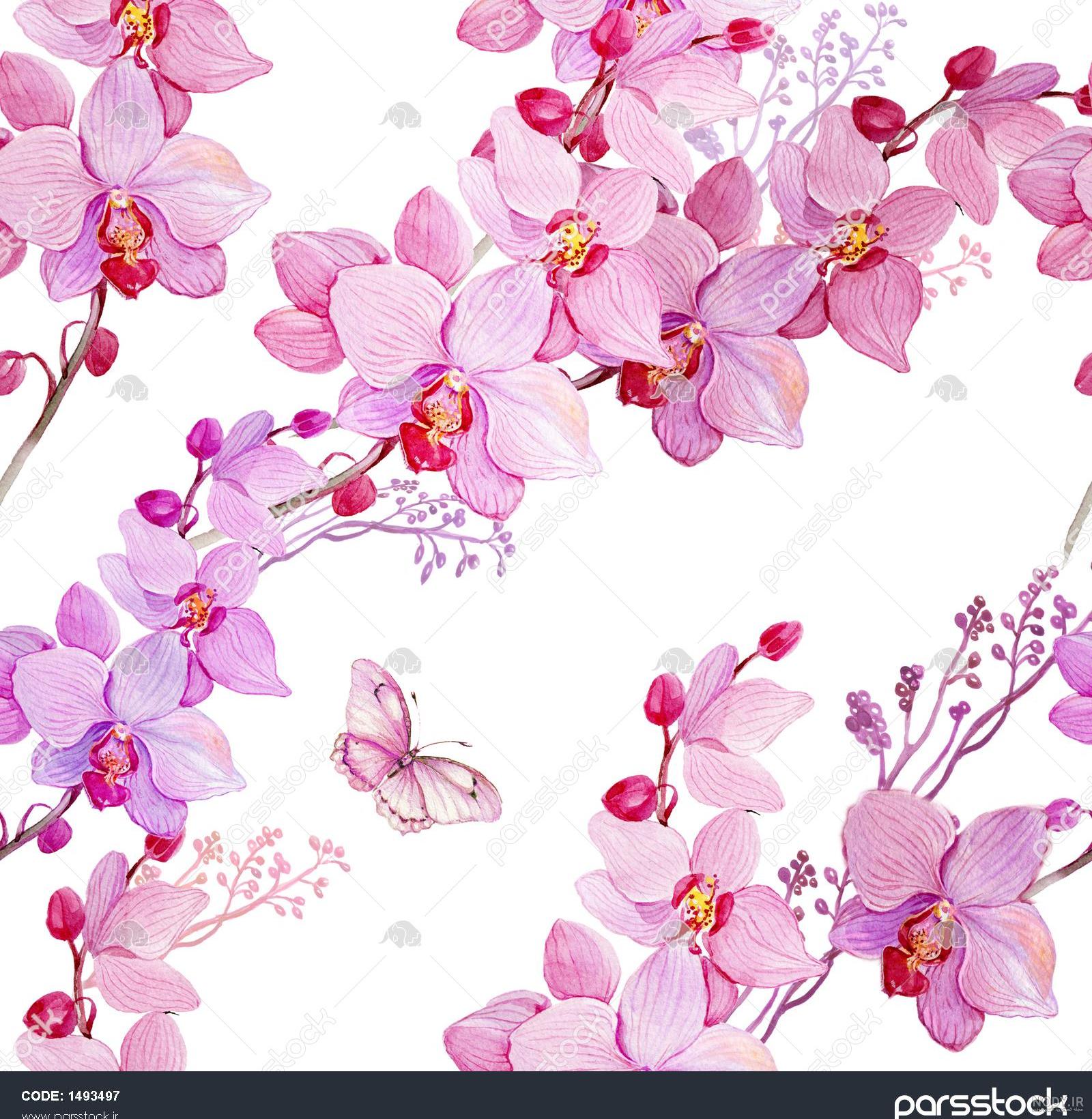 نقاشی گل محمدی با مداد رنگی