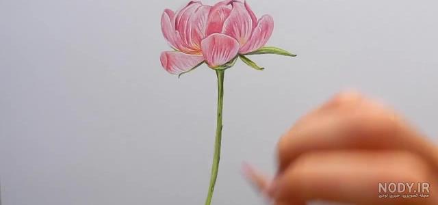 طرح گل برای نقاشی طرح گل برای نقاشی