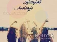 عکس دورهمی دوستانه
