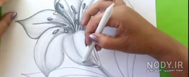 نقاشی از گل سوسن نقاشی از گل سوسن