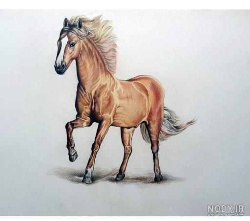 نقاشی حیوانات با مداد رنگی ساده