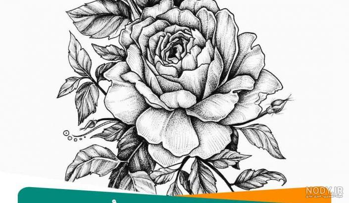 نقاشی طراحی گل و گلدان نقاشی طراحی گل و گلدان