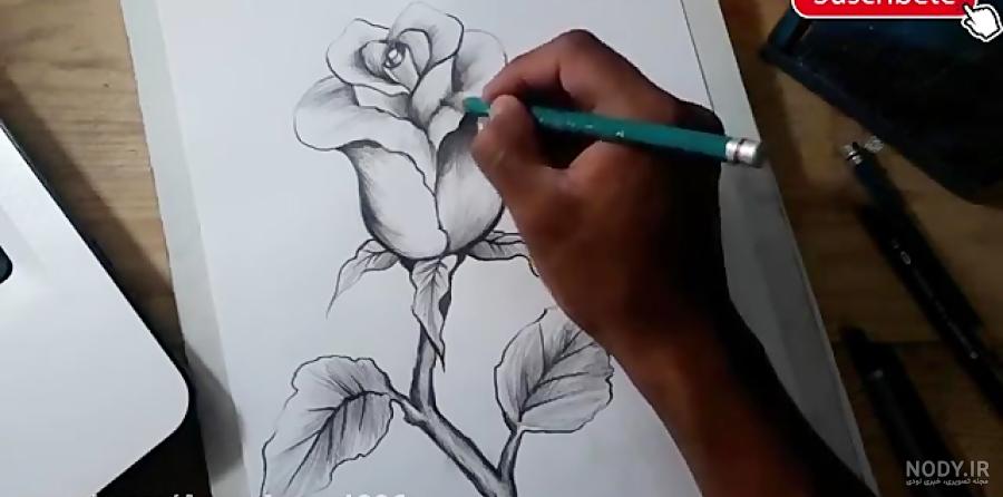 نقاشی گل با مداد طراحی نقاشی گل با مداد طراحی