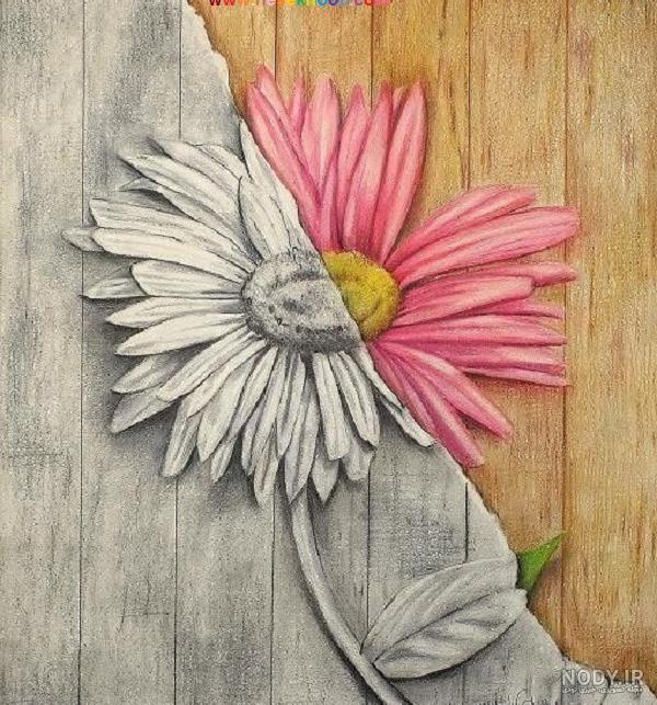 نقاشی گل بنفشه با مداد رنگی