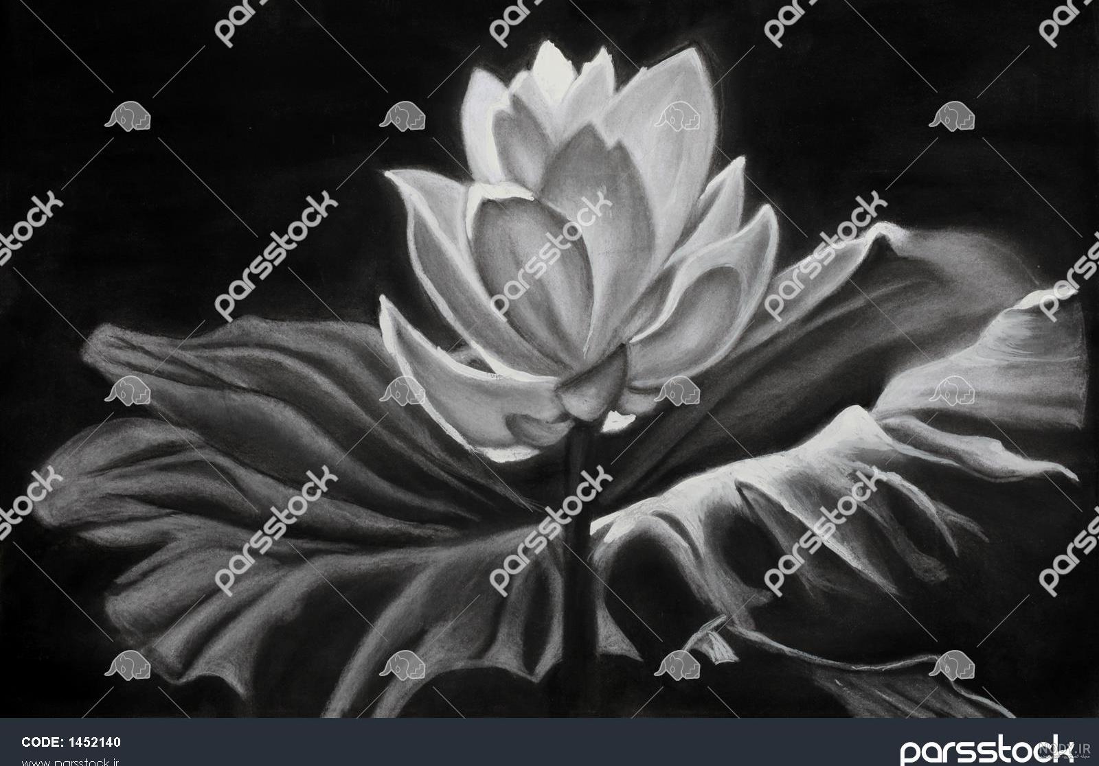 نقاشی گل ساده نقاشی گل ساده