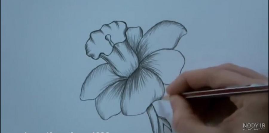نقاشی گل طراحی ساده نقاشی گل طراحی ساده